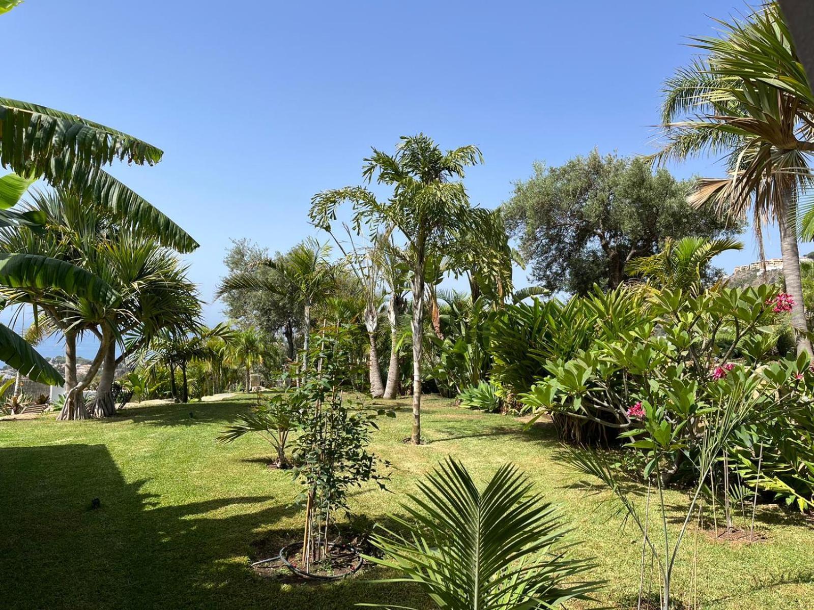 Bed & Breakfast In Villa Eden Palm Benalmadena Exterior photo